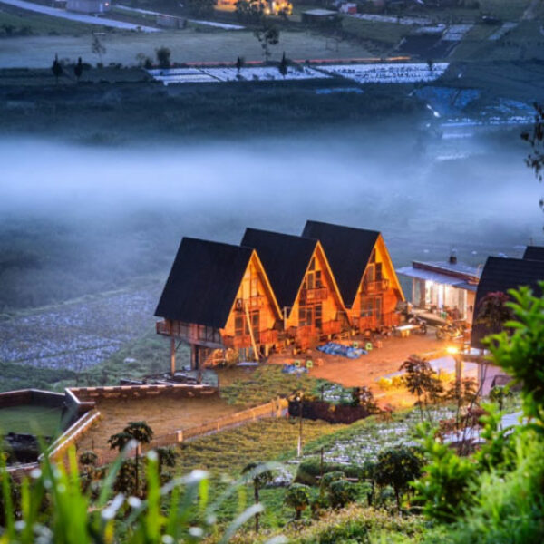 Cabin NAFI